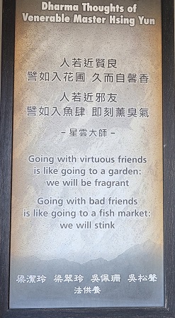 Wise thoughts 09s.jpg