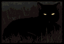 IMG 1310.gif