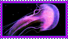 IMG 3198.gif