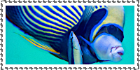 IMG 3287.png