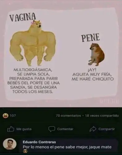 jaquemate ctm v0 d60n7tsfirlh1.webp