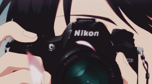 b0712c8d965ab9cd768edce19e1e910b.gif