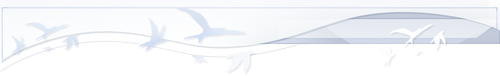 mmexport1788872995496.png