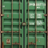the picture shows a container colored in green and a bit rusted gsfp4phirt5e8kc2gkpq 1 removebg prev.png