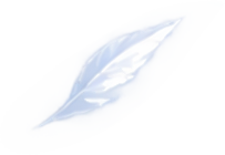 mmexport1788872991799.png