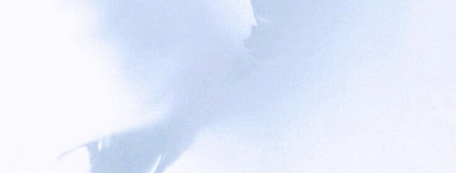 IMG 20260909 074619.jpg