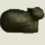 1000031141.gif