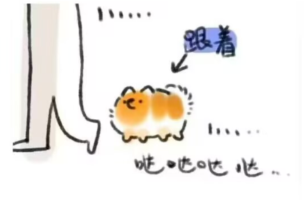 1000031156.png