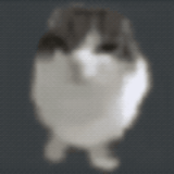 1000031129.gif