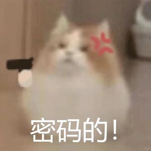 1000031132.jpg