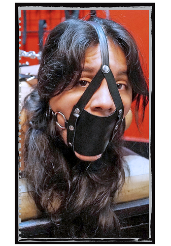 IMG 0154613.png