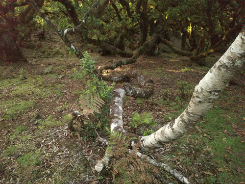 https://iili.io/n591gte.md.jpg