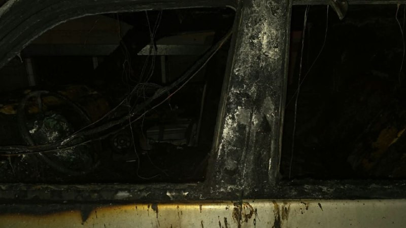 صورة الخبر