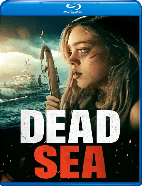 Dead.Sea.2024.jpg