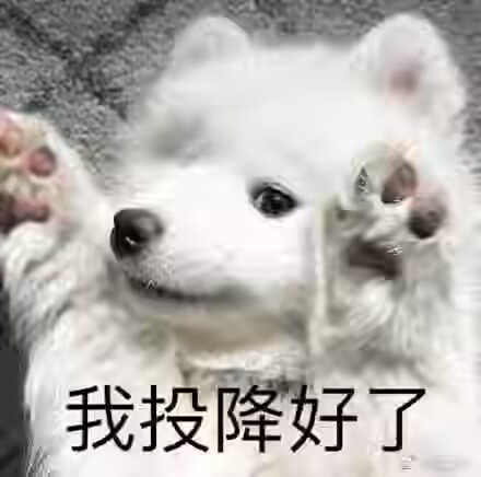 1000030836.jpg