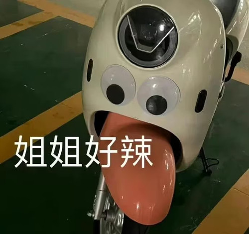 1000030889.jpg