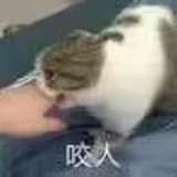1000030861