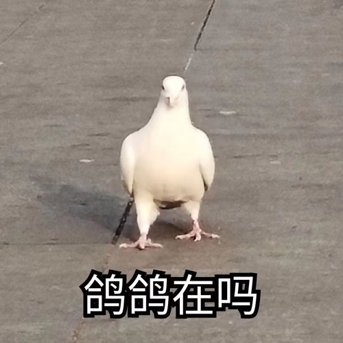 1000030885.jpg