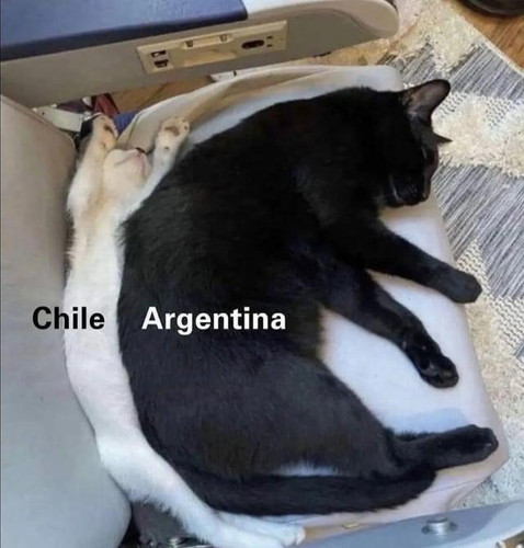 otyrza9pgqrh1.jpg