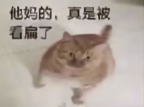 1000030880.jpg
