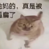1000030880