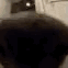 1000030895