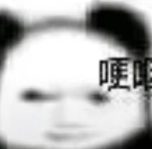 1000030881.jpg