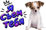 5.png