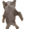 1000030943.gif