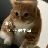 1000031102