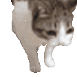 1000030937