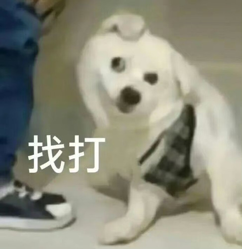 1000030940.jpg