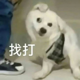 1000030940