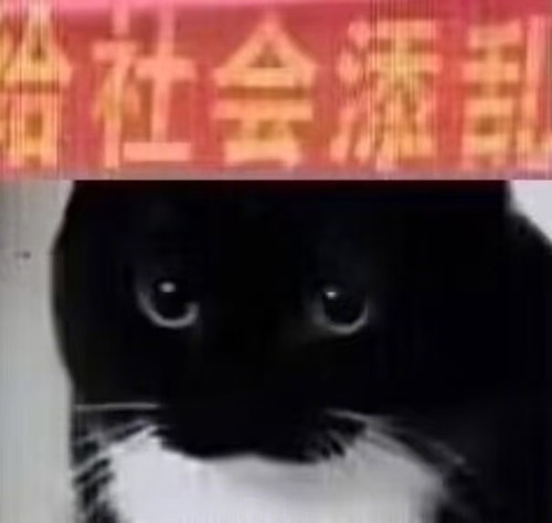 1000030916.jpg