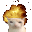 1000031116.gif