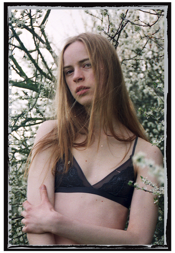 IMG 002598.png