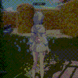 秋天.gif