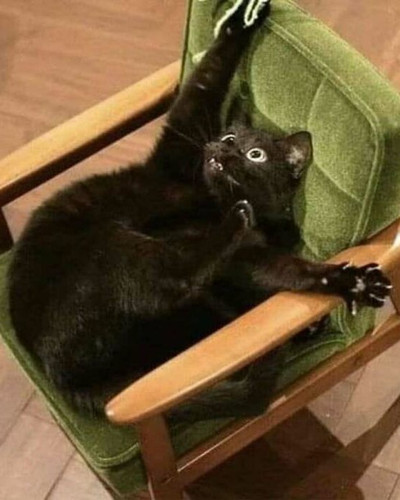480150926 553216807752484 206134984871853393 n 6aac92a3a912c 700.jpg