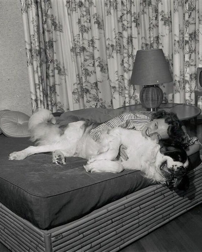 29 69cee7758c328 700.jpg