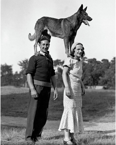 69cfbdfce194f this instagram page is bringing forgotten dogs from history back to life in the most h.jpg
