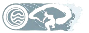 viz elem 2 removebg preview.png