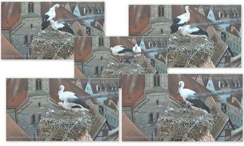Bilder4.jpg