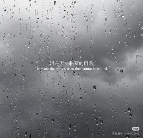 Camera XHS 1790521674466notes pre post 1040g3k832.jpg
