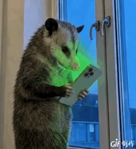 IMG 0284.gif
