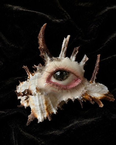 Abyss Guardians Shell Eye Necklace or Sculpture 01 6ab6280ae8686 700.jpg