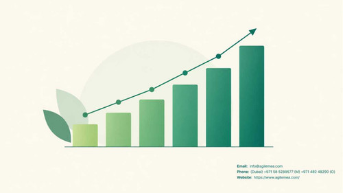 Sustainability report consultant in Dubai.jpg