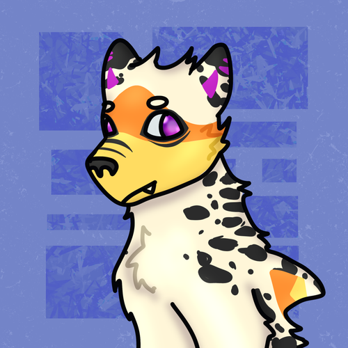 IMG 6434.png