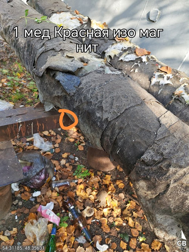 6abaa2e3b338b.jpg