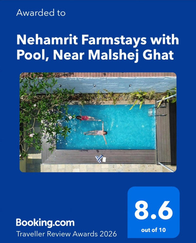 villa with private pool near Mumbai.jpg