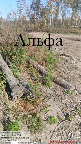 6aba7ead912ae.1